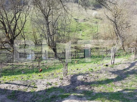 Casa de vânzare 2 camere Exterior Sud - 155261CV | BLITZ Sibiu | Poza1