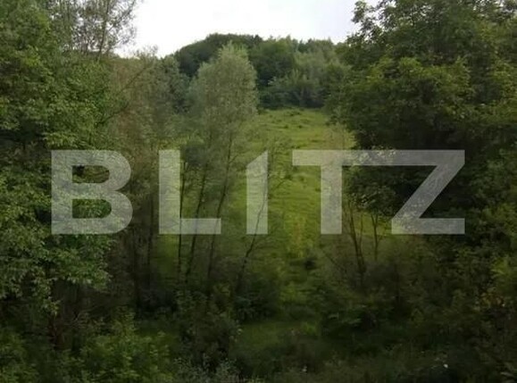 Casa de vânzare 2 camere Exterior Sud - 155261CV | BLITZ Sibiu | Poza6