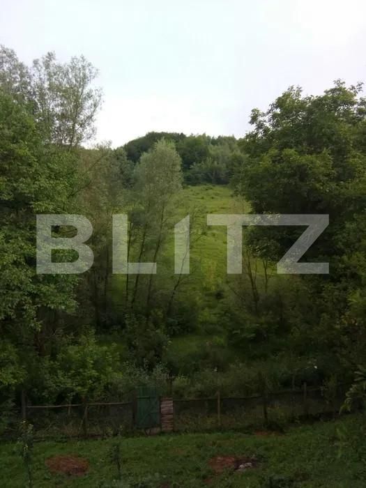 Casa de vânzare 2 camere Exterior Sud - 155261CV | BLITZ Sibiu | Poza6