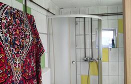 Casa 2 camere Saliste 