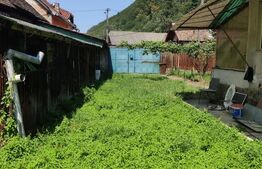 Casa 2 camere Saliste 