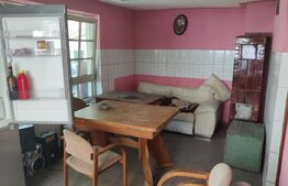 Casa 2 camere Saliste 