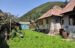 Casa 2 camere Saliste 