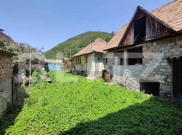 Casa de vânzare 2 camere Sălişte - 155276CV | BLITZ Sibiu | Poza12