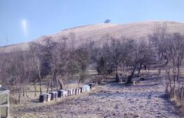 Casa de vanzare in sat Vecerd, jud Sibiu