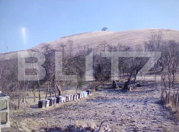 Casa de vânzare 4 camere Exterior Est - 155462CV | BLITZ Sibiu | Poza7