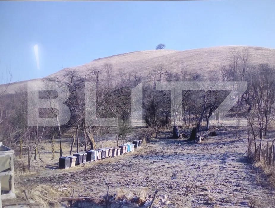 Casa de vânzare 4 camere Exterior Est - 155462CV | BLITZ Sibiu | Poza7