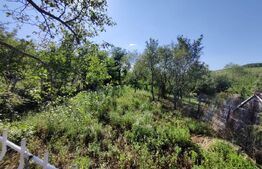 Casa 3 camere  - Hasag