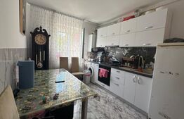 Apartament, 1 camera, cartier Tiglari