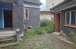 Casa/Spatiu comercial, Turnisor