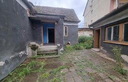 Casa/Spatiu comercial, Turnisor