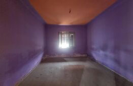 Casa/Spatiu comercial, Turnisor