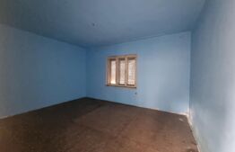 Casa/Spatiu comercial, Turnisor