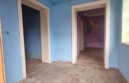 Casa/Spatiu comercial, Turnisor