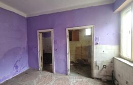 Casa/Spatiu comercial, Turnisor