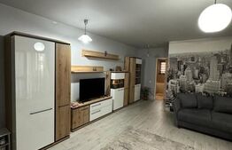 Apartament 2 camere , 45mp , zona Doamna Stanca