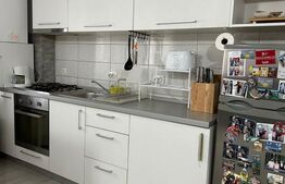 Apartament 2 camere , 45mp , zona Doamna Stanca