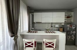 Apartament 2 camere , 45mp , zona Doamna Stanca