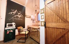 Studio, 36 mp utili, pivinita 17 mp, zona Ultracentrala