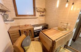 Studio, 36 mp utili, pivinita 17 mp, zona Ultracentrala