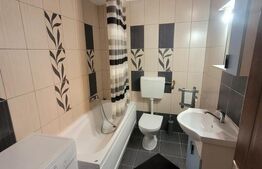 Apartament 2 camere Bulevardul Mihai Viteazu 