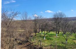 Casa individuala 8 camere, 500mp, Rasinari