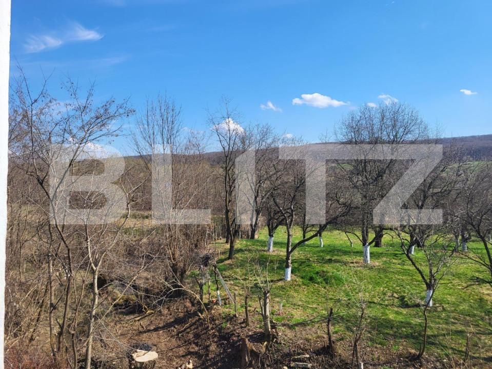 Casa de vânzare 9 camere Exterior Sud - 157295CV | BLITZ Sibiu | Poza4