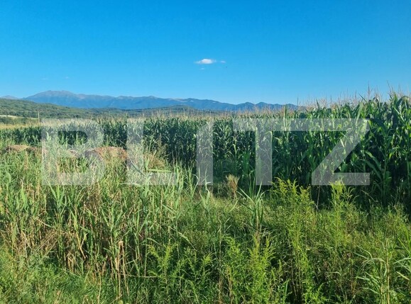 Teren de vânzare Exterior Sud - 157415TV | BLITZ Sibiu | Poza3