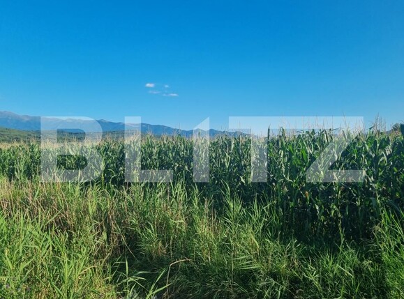 Teren de vânzare Exterior Sud - 157415TV | BLITZ Sibiu | Poza2