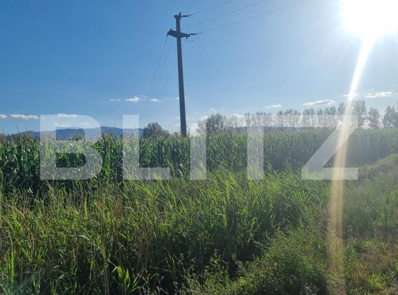 Teren de vânzare Exterior Sud - 157415TV | BLITZ Sibiu | Poza4