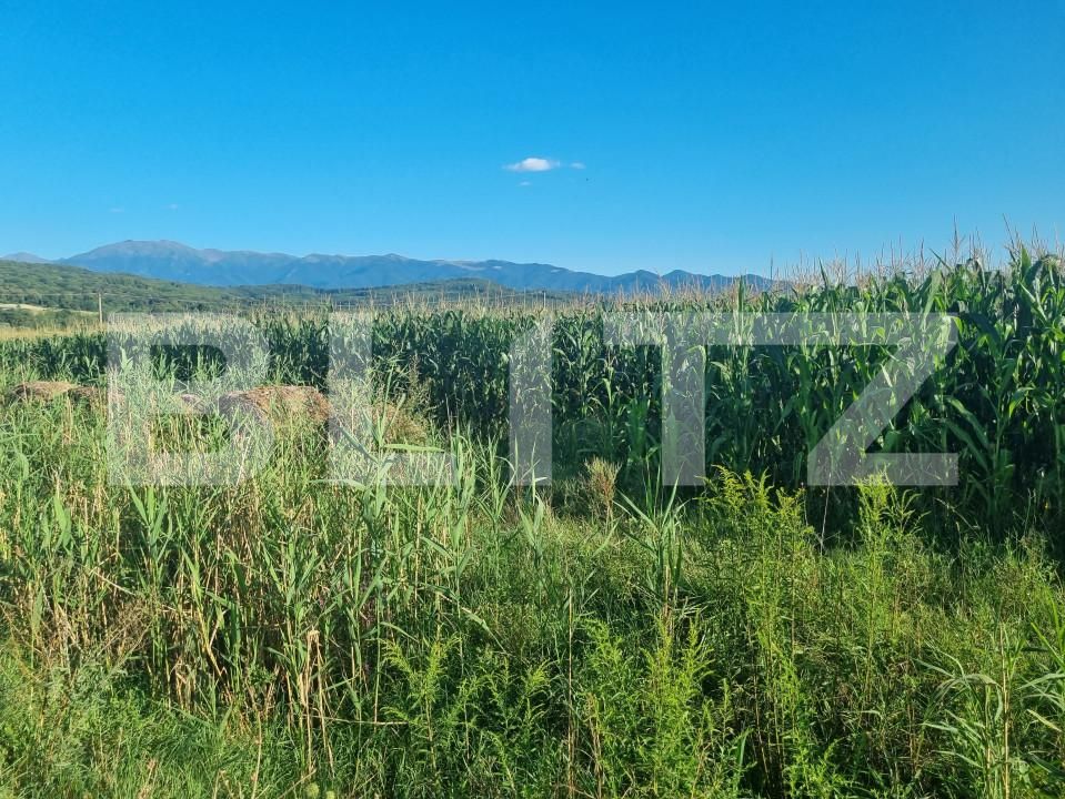 Teren de vânzare Exterior Sud - 157415TV | BLITZ Sibiu | Poza3