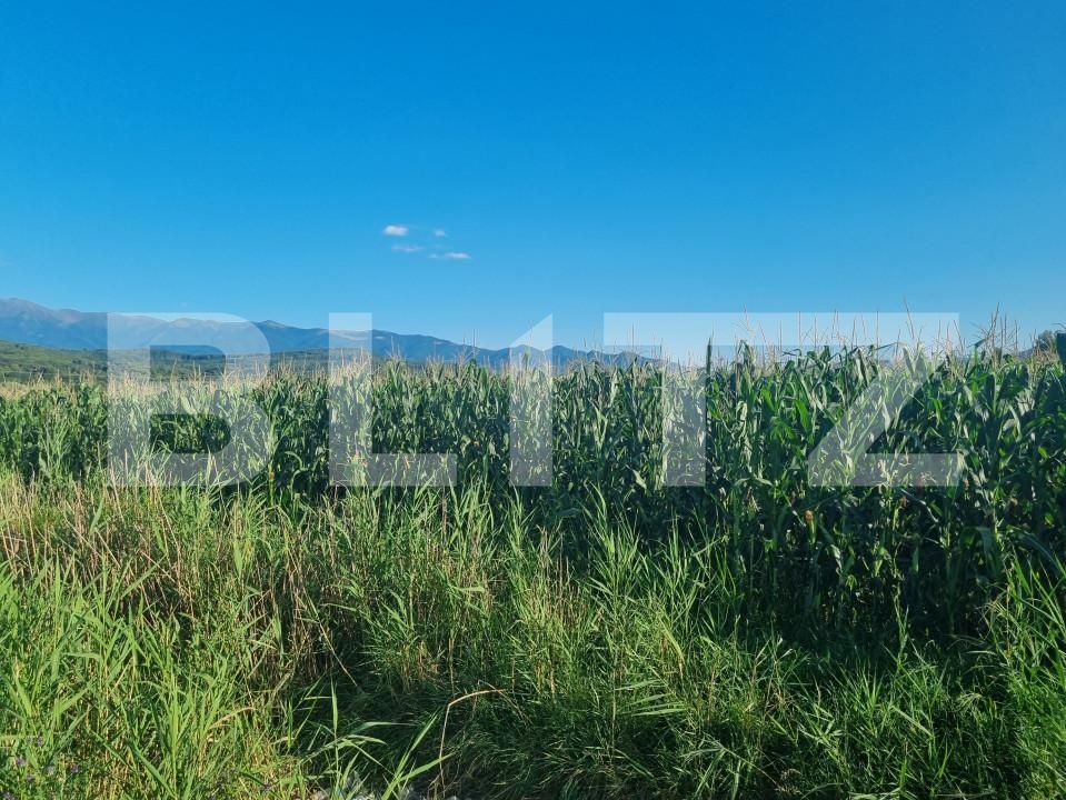 Teren de vânzare Exterior Sud - 157415TV | BLITZ Sibiu | Poza2