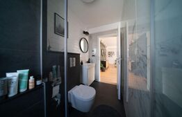 Penthouse 4 camere, 109 mp, 48 mp terasa, pod Cartierul Arhitectilor 