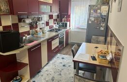 Apartament 3 camere, 2 balcoane, mobilat si utilat Valea Aurie