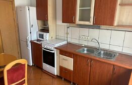 Apartament 2 camere, mobilat si utilat Valea Aurie