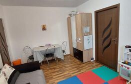 Apartament 2 camere, zona Cedonia