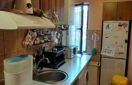 Apartament 2 camere, zona Cedonia