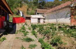 Casa Ocna Sibiului ideala pentru investitie