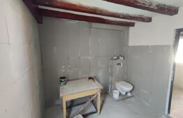 Casa Ocna Sibiului ideala pentru investitie