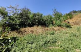 Casa Ocna Sibiului ideala pentru investitie