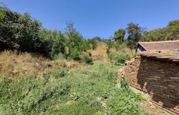 Casa Ocna Sibiului ideala pentru investitie