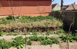 Casa Ocna Sibiului ideala pentru investitie