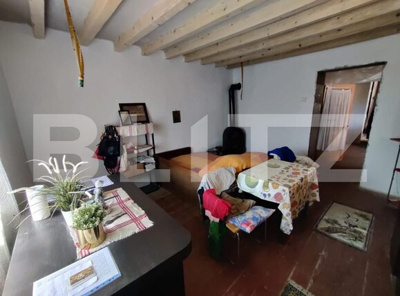 Casa de vânzare 4 camere Ocna Sibiului - 158249CV | BLITZ Sibiu | Poza4