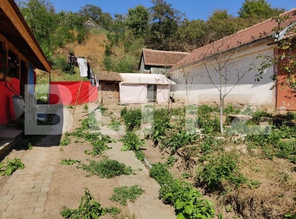 Casa de vânzare 4 camere Ocna Sibiului - 158249CV | BLITZ Sibiu | Poza11