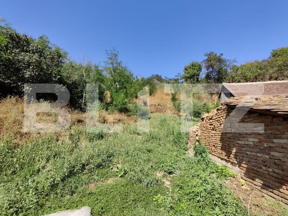 Casa de vânzare 4 camere Ocna Sibiului - 158249CV | BLITZ Sibiu | Poza12