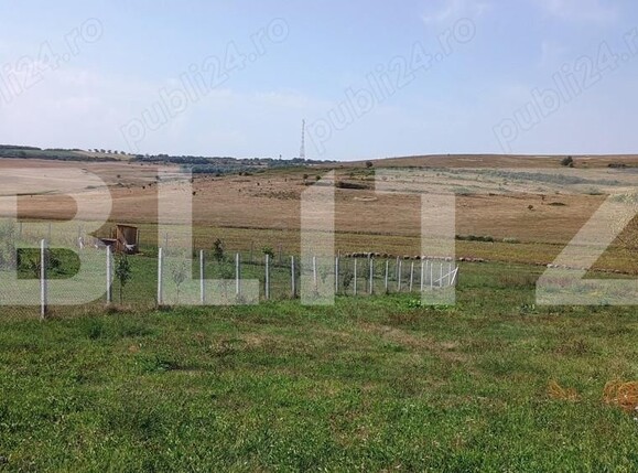 Teren de vânzare Sura Mare - 158363TV | BLITZ Sibiu | Poza2