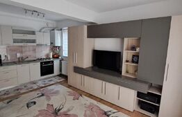 Studio cu terasa superba, zona Turnișor