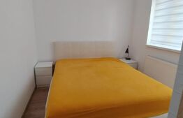 Studio cu terasa superba, zona Turnișor