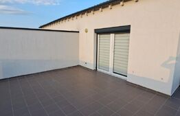 Studio cu terasa superba, zona Turnișor