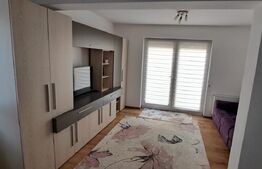 Studio cu terasa superba, zona Turnișor